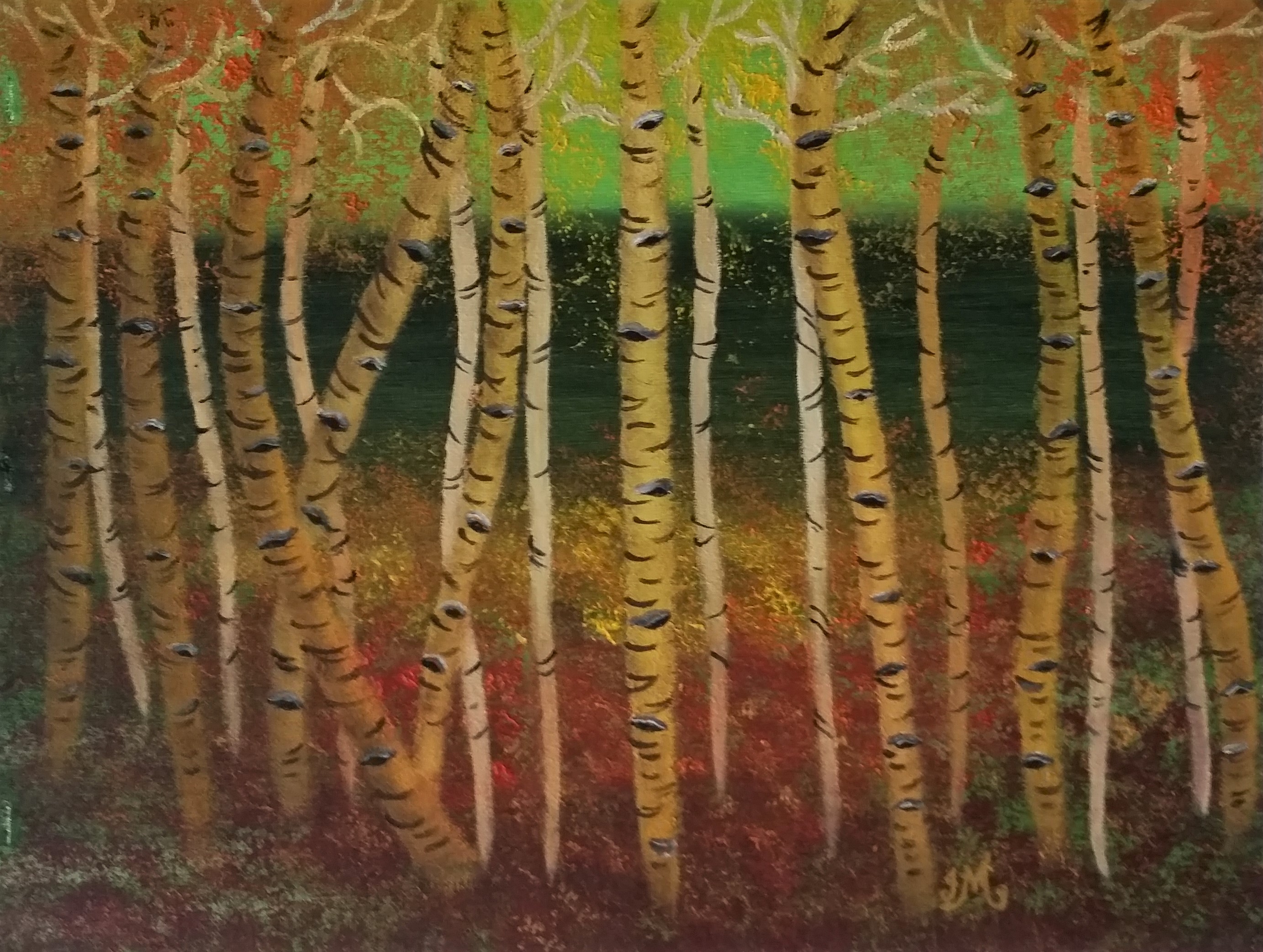 Birch Forest